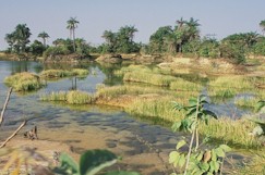 CASAMANCE8130-16.jpg (17833 octets)