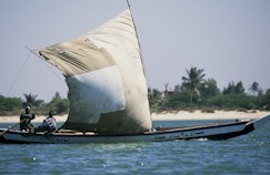 CASAMANCE8131-17.jpg (11653 octets)
