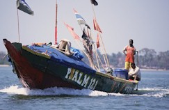 CASAMANCE8131-21.jpg (13755 octets)