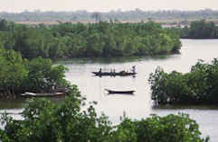 casamance28.jpg (16163 octets)